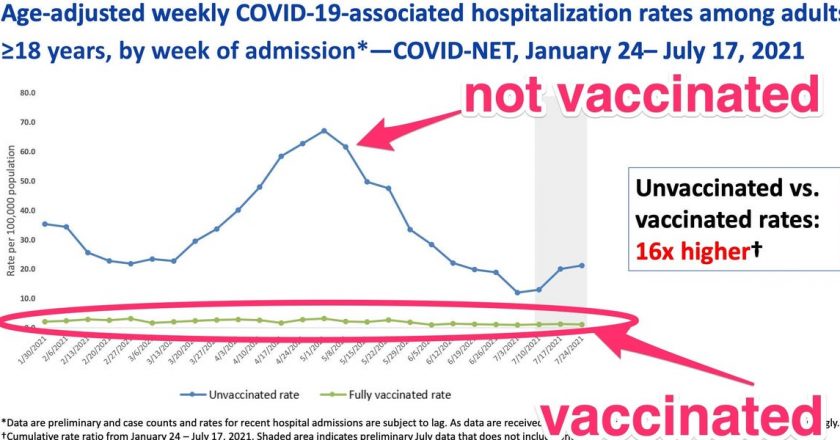 CDC shares 8 new charts that show how powerful Pfizers vaccine is against COVID-19 and the Delta variant – Yahoo! Voices