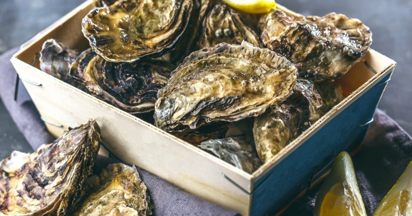 Everything You Need to Know About Oysters