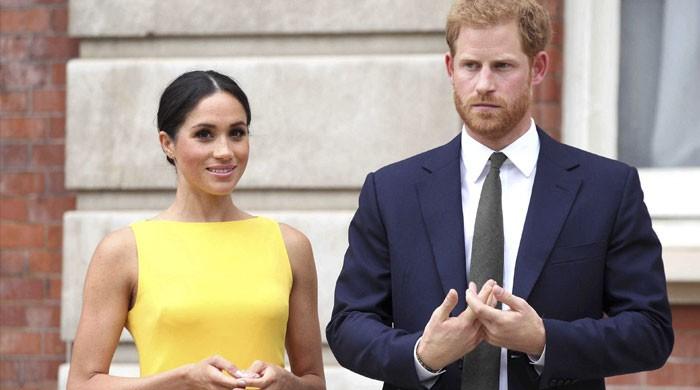 Prince Harry, Meghan Markle saved from rebranding mess after winning Archewell case – The News International