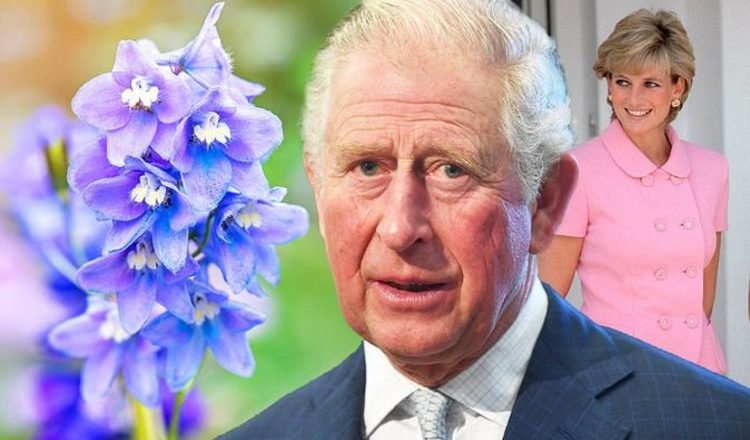 Prince Charles’ favourite flower has beautiful Princess Diana meaning – Express