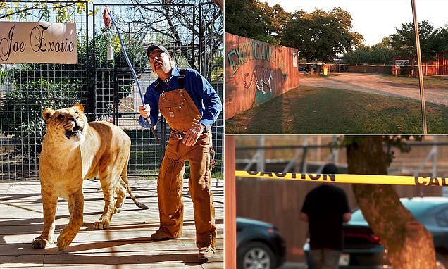 Police called to Tiger King zoo after film crew believed cadaver dogs had found human remains – Daily Mail