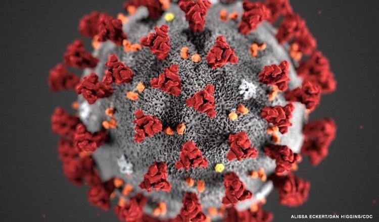 New form of coronavirus spreads faster, but doesnt make people sicker, new study says – CNN Philippines