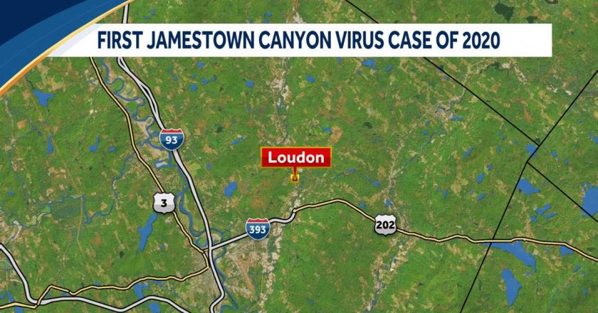 NH health officials announce season’s first case of Jamestown Canyon virus – WMUR Manchester