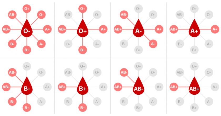 Why do we have different blood types — and do they make us more vulnerable to Covid-19? – CNN