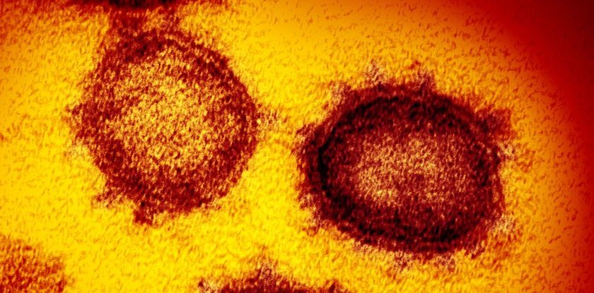 Dominant Coronavirus Strain Appears to Be a Mutated, More Virulent Version, Study Finds – ScienceAlert