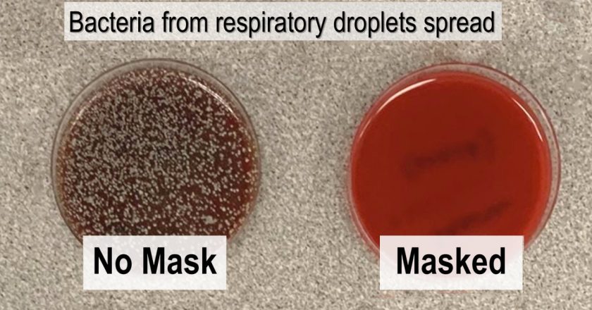 Microbiologist Does Simple Demonstration to Show How Face Masks Are Effective – My Modern Met