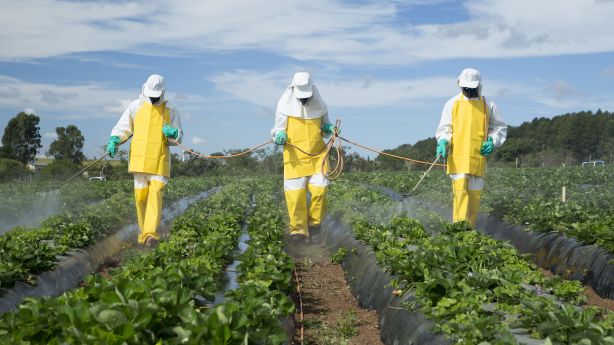 Plastics and pesticides: Health impacts of synthetic chemicals in US products doubled in last 5 years, study finds – KSL.com