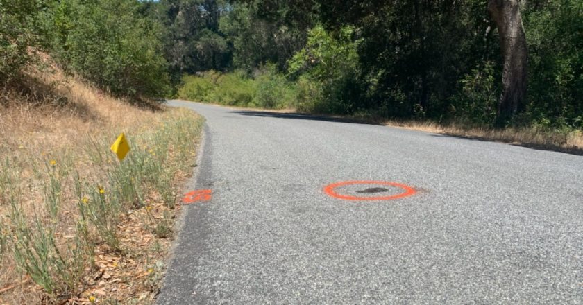 Human foot found on rural Templeton road belongs to crash victim, officials say – KSBY San Luis Obispo News