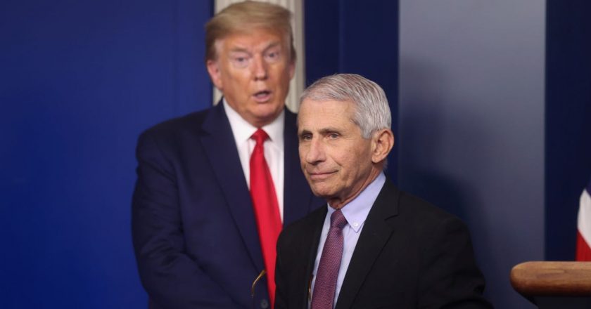 Fauci: Pretty obvious the US is not going in the right direction – Business Insider – Business Insider