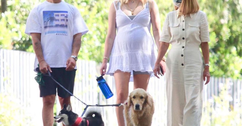 Pregnant Sophie Turner Shows Off Baby Bump in White Dress as She Steps Out with Husband Joe Jonas – MSN Money