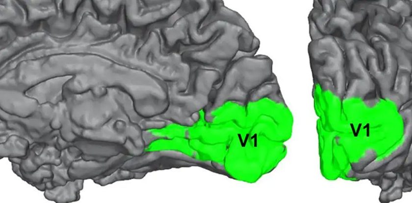 Some Blind People Can Still See, And Their Brains Could Help Explain Consciousness – ScienceAlert