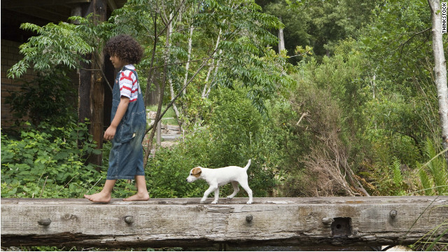 Dogs could help toddlers learn social-emotional skills – CNN