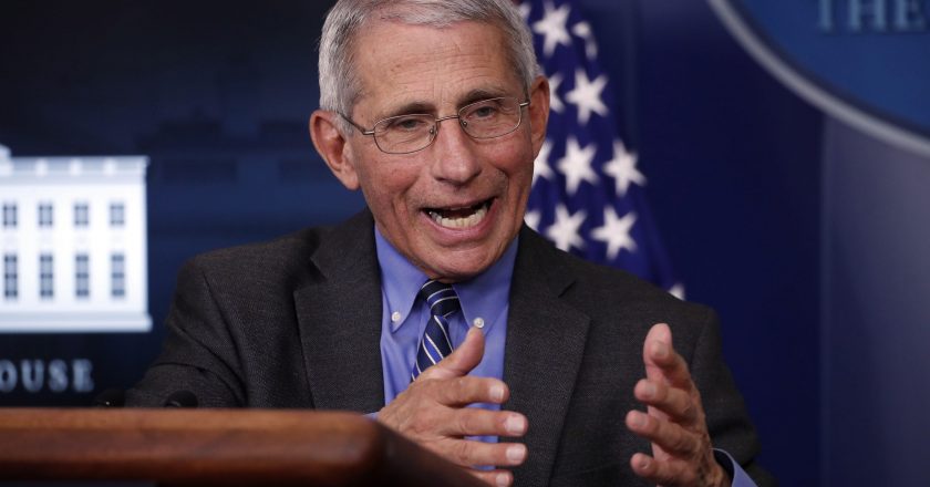 Dr. Anthony Fauci warns US is knee-deep in first wave of coronavirus cases and prognosis is really not good – USA TODAY