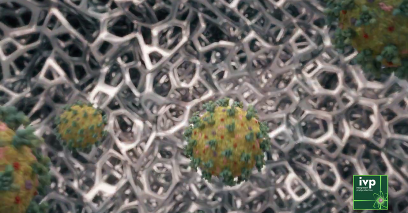 Houston scientists develop coronavirus-killing air filter – KHOU.com