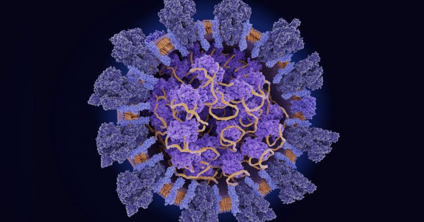 A new coronavirus mutation is taking over the world. Heres what that means. – Livescience.com