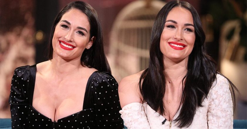 Nikki and Brie Bella introduce their newborn sons: Were so in love – Fox News