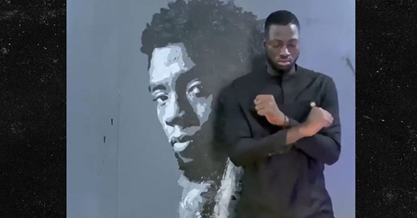 Artist Creates Amazing Rose-Painted Mural of Chadwick Boseman – TMZ