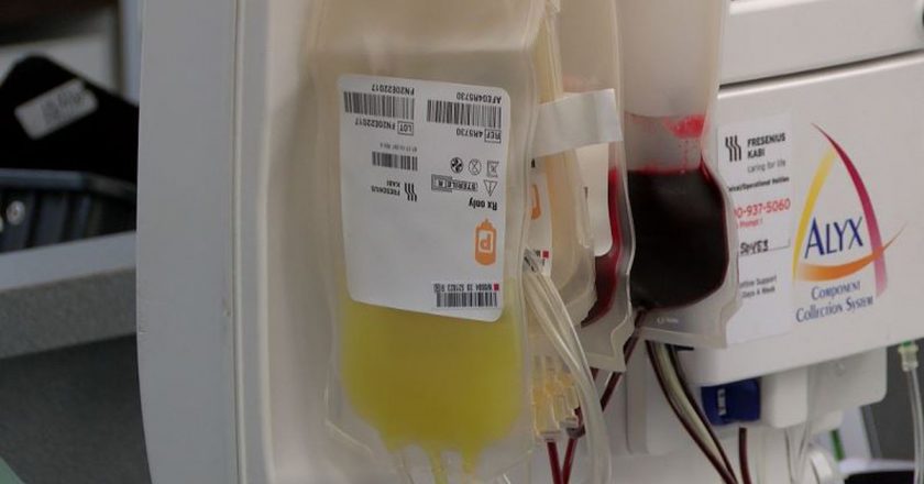 Recovered COVID-19 patients are being urged to donate their blood plasma – Hawaii News Now