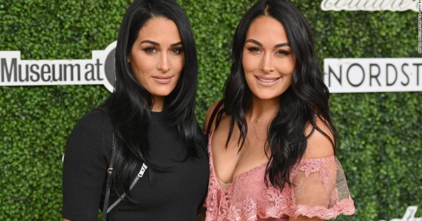 Bella twins welcome babies a day apart – CNN