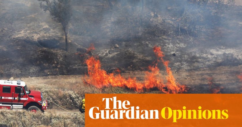 Were thinking about Covid-19 the wrong way. Its not a wave – its a wildfire – The Guardian