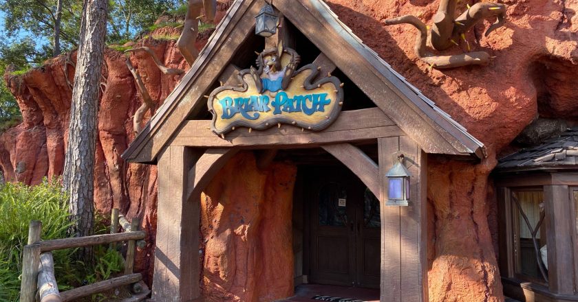 PHOTOS: Splash Mountain Briar Patch Windows Covered at the Magic Kingdom – wdwnt.com