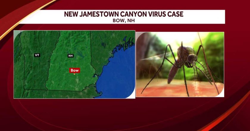 Adult in Bow tests positive for Jamestown Canyon virus, health officials say – WMUR Manchester