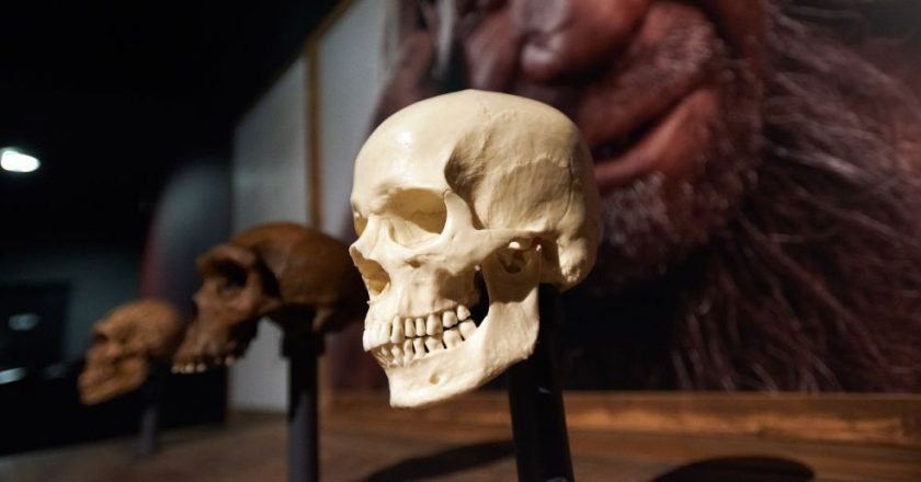 Neanderthal Genetics May Explain Your Low Tolerance for Pain – Yahoo! Voices