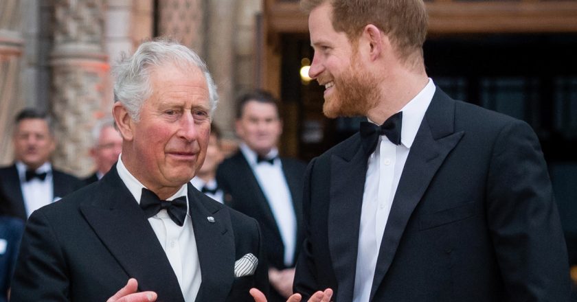 Prince Harry in constant contact with Charles for emotional, financial support – Page Six