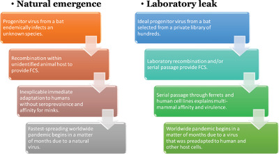 Might SARS‐CoV‐2 Have Arisen via Serial Passage through an Animal Host or Cell Culture? – Wiley