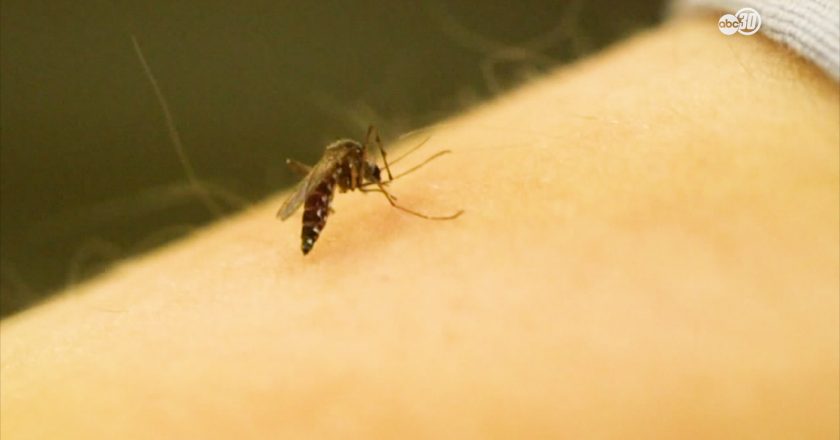 Authorities start spraying after West Nile-carrying mosquitoes detected in Clovis – KFSN-TV