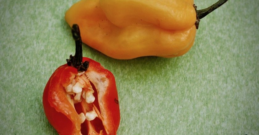 Habanero Sauce Recipe