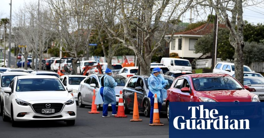 Southern hemisphere has record low flu cases amid Covid lockdowns – The Guardian