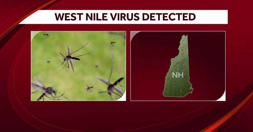 West Nile virus detected in New Hampshire for first time this season, health officials say – WMUR Manchester