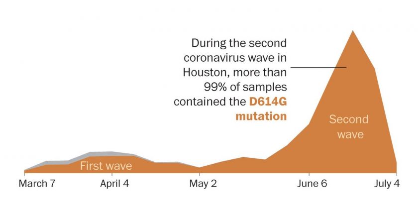 Coronavirus mutation seen in massive new study of genetic sequences from Houston – The Washington Post