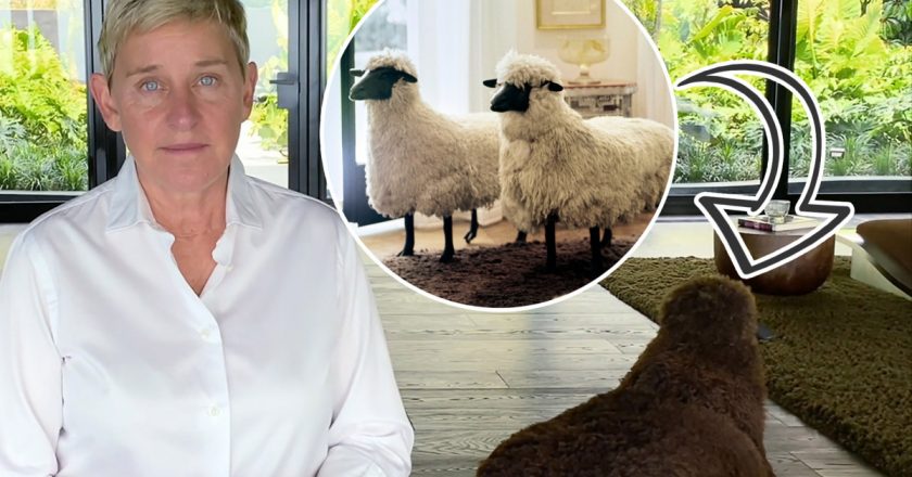 Ellen DeGeneres selling $10 million worth of artwork in the Hamptons – Page Six