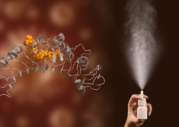 Australian scientists develop a nasal spray that could stop SARS-CoV-2 infection – News-Medical.Net