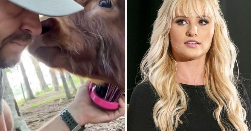 Jay Cutler uses mini-cow video to address Tomi Lahren romance rumors – New York Post