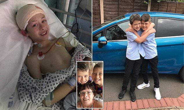 Mother who lost son to brain tumour dealt hammer blow after his twins leukaemia diagnosis – Daily Mail