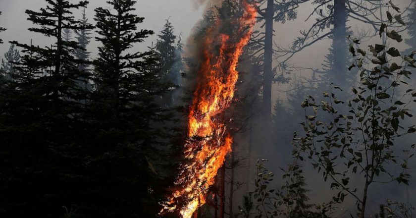 Twin disasters: How the West Coast fires might impact the COVID-19 pandemic – ABC News