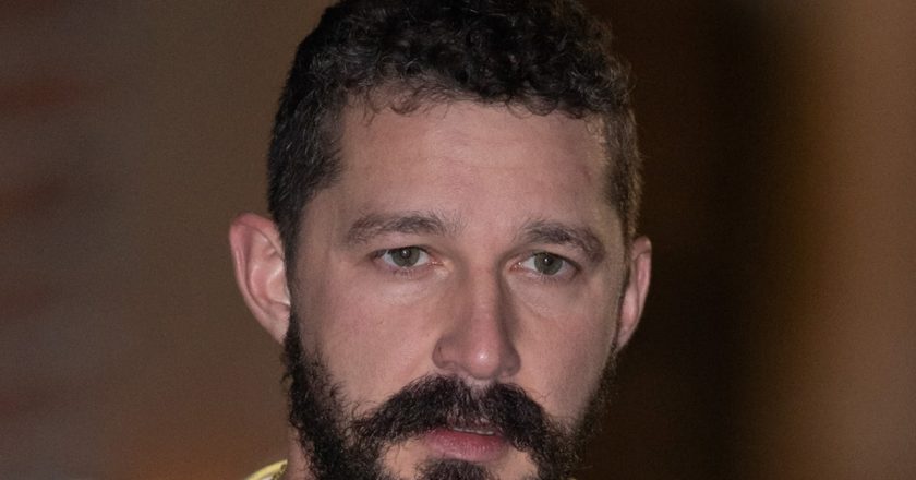 Shia LaBeouf Charged with Battery, Petty Theft Stemming from June Incident – TMZ