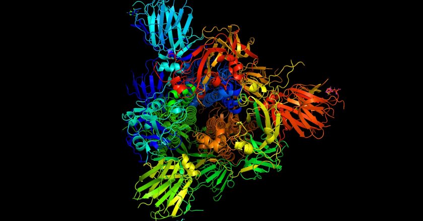 COVID-19: Vibrations of Coronavirus Proteins May Play Role in Infectivity and Lethality – SciTechDaily