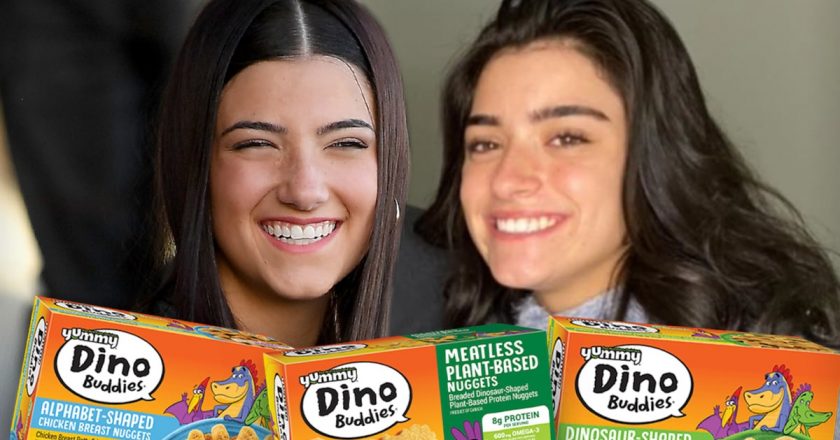 TikTok Stars Charli and Dixie DAmelio Getting Dino Nuggets, No Snails – TMZ