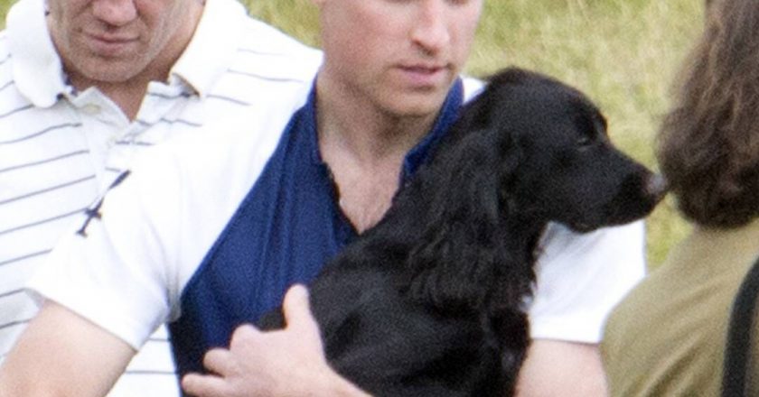 Kate Middleton and Prince Williams Dog Lupo Dead at Age 9 – E! NEWS