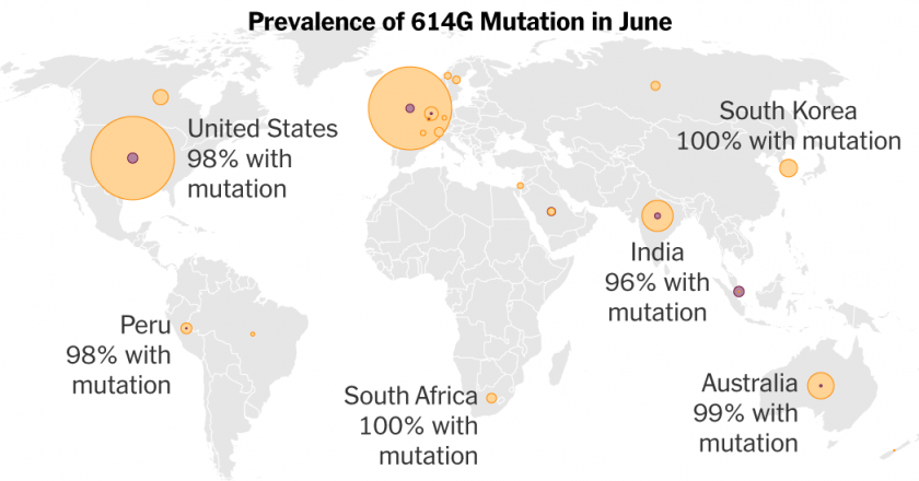 Early Coronavirus Mutation Made Pandemic Harder to Stop, Evidence Suggests – The New York Times