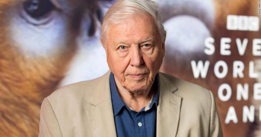 David Attenborough has left Instagram, just weeks after joining – CNN