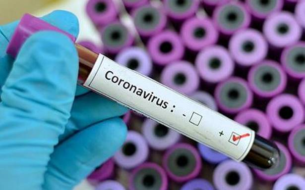 Cannabis plant extract significantly downregulated Covid-19 inflammation levels: Study – BusinessLine