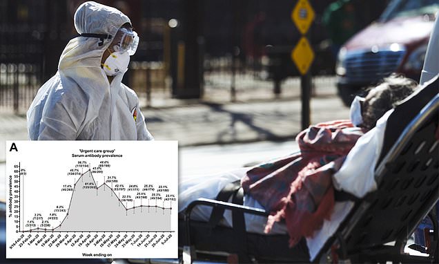 Coronavirus NY: Study says 1.7m – 6 times official figure – infected – Daily Mail