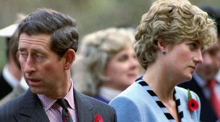 Princess Diana was ‘traumatised after Prince Charless public insult – The News International