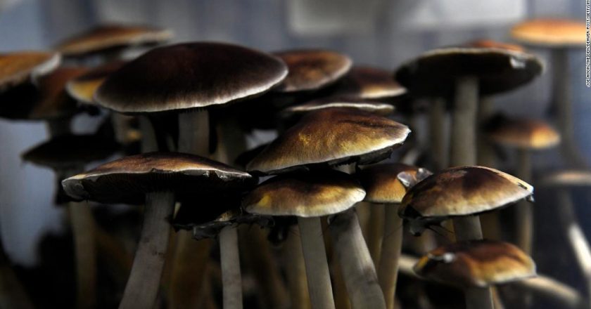 Magic mushroom ingredient could work as mental health treatment – CNN