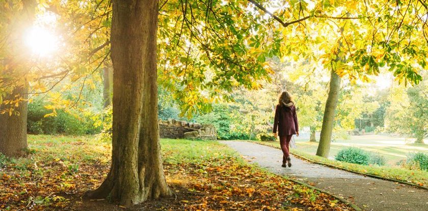 A Green Prescription May Make Nature a Chore Instead of a Joy – ScienceAlert